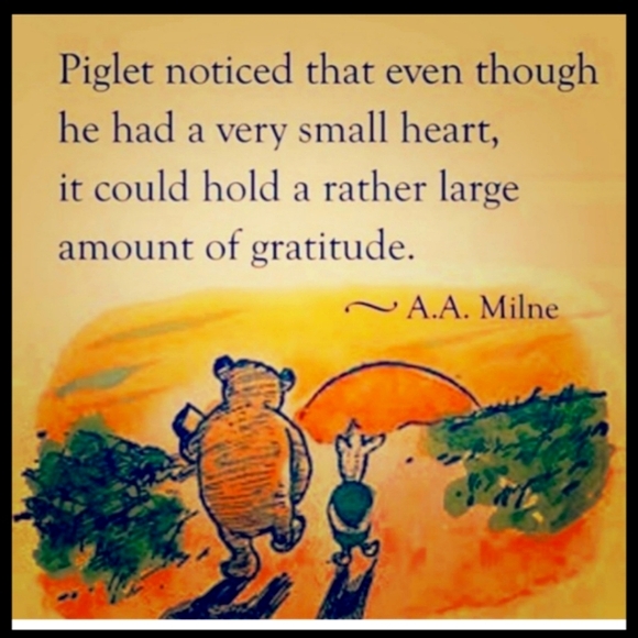 Avon SPIRIT OF St. Louis Wind Jammer - Picture 14 of 16